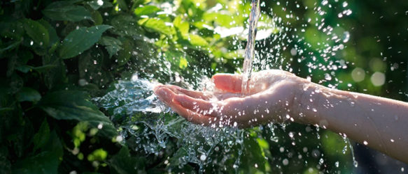 main avec feuilles vertes sous un jet d'eau