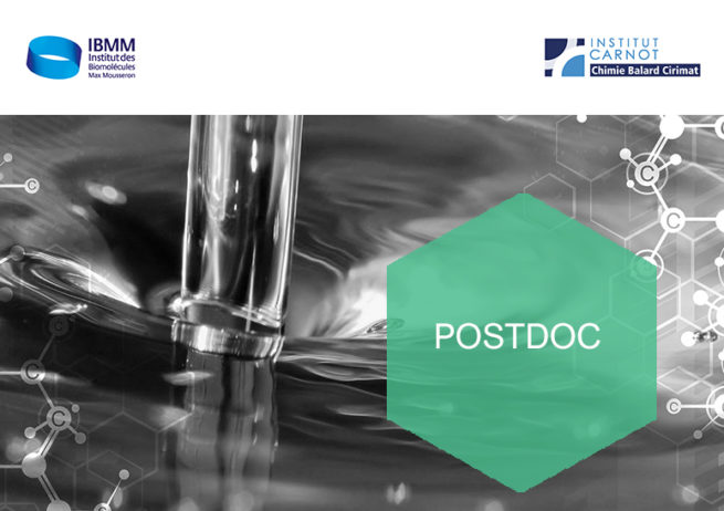 offre de postdoctorat chimie ibmm