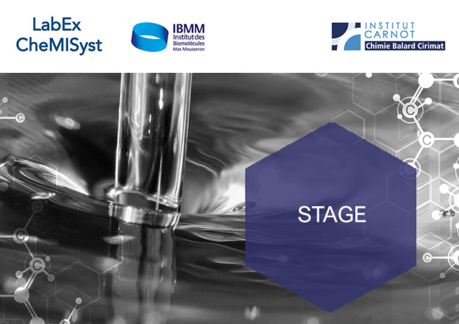 stage labex ibmm