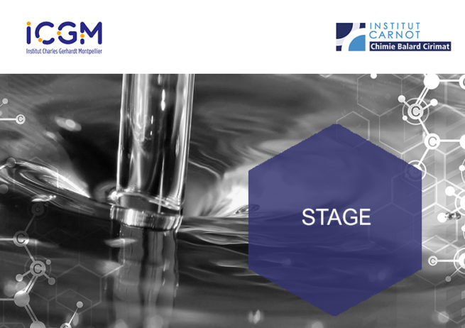 Offre de stage icgm