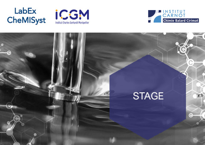 offre de stage chimie labex chemisyst icgm